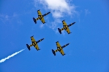 Aero L-39C Albatros